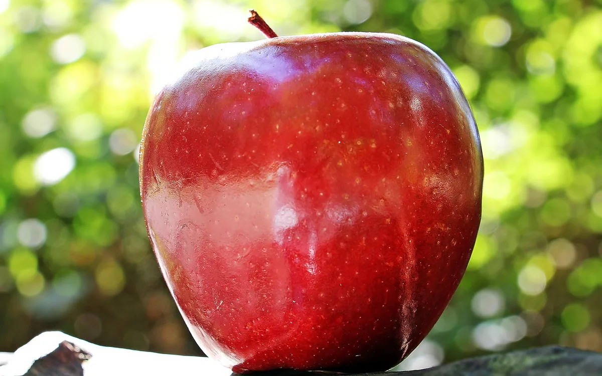 Jak skonfigurować Apple Pay na Apple Watch?