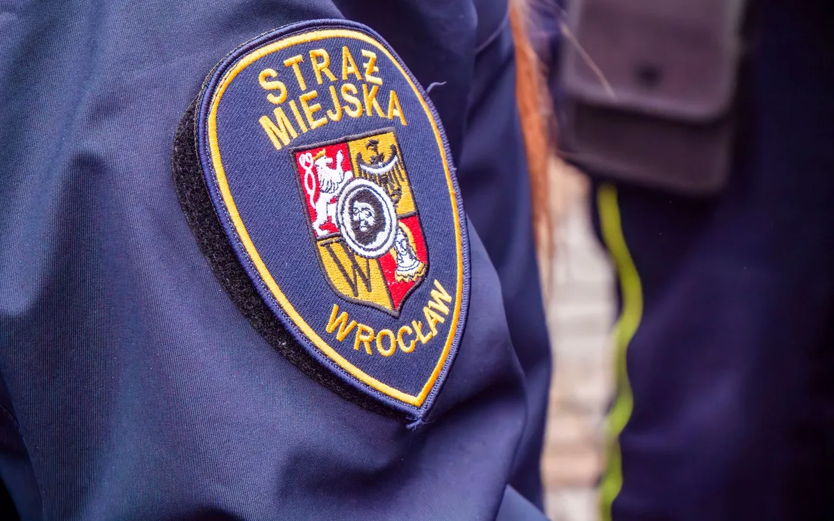 Co zrobić z plikiem służbowym, szkolnym lub urzędowym?