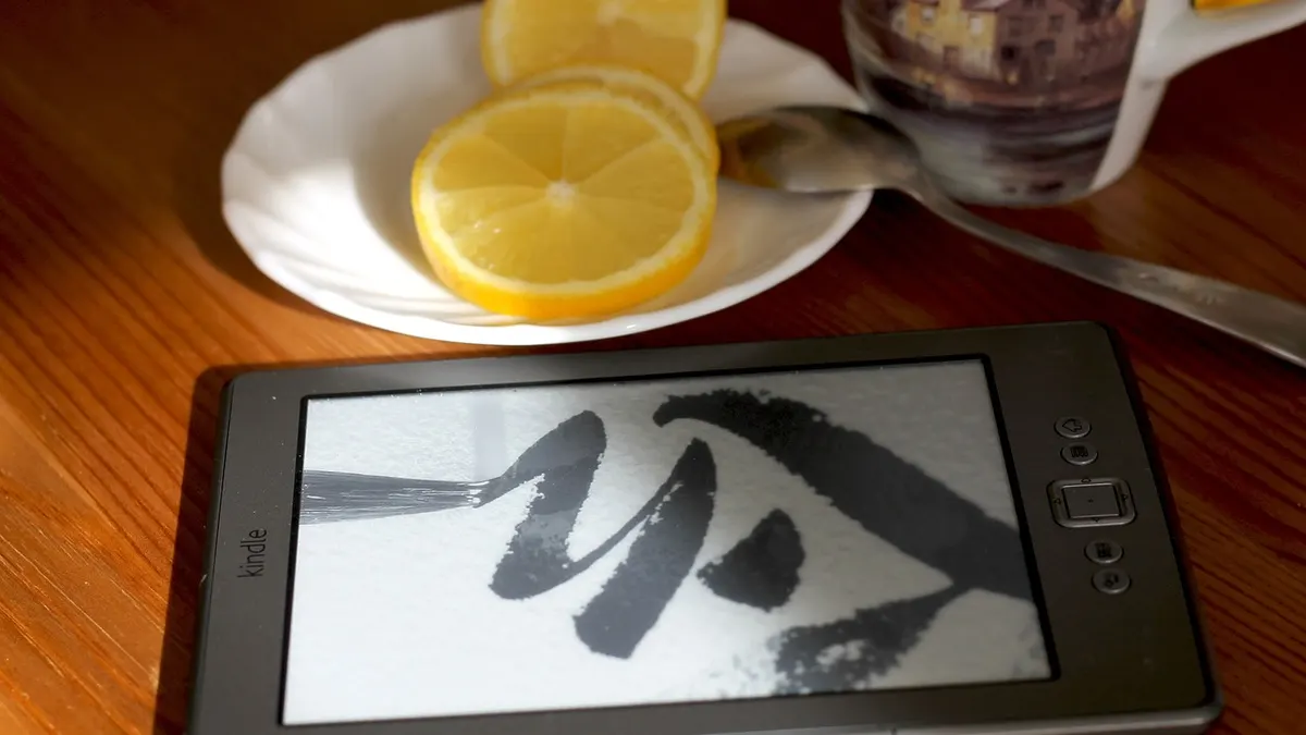 Czytnik Kindle wyświetlający dokument PDF na ekranie